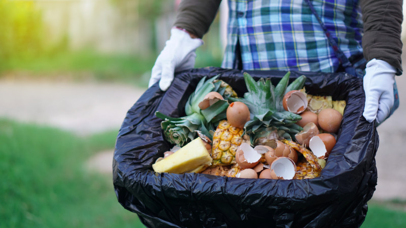 Una alternativa para el desperdicio de comida 