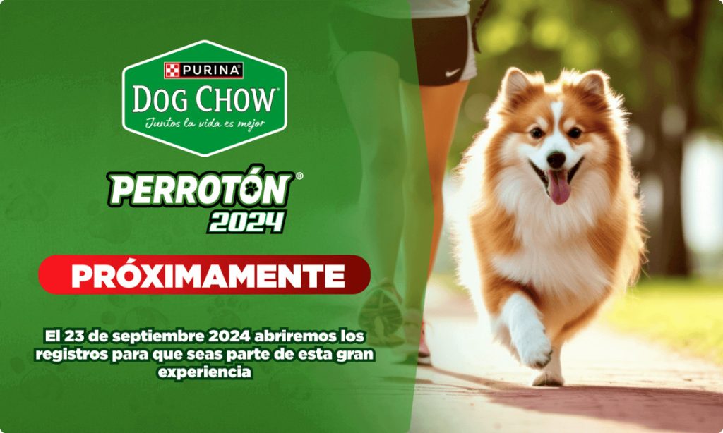 ¡Vuelve el Perrotón Dog Chow! Corre con tu mascota y alimenta a miles de perritos sin hogar