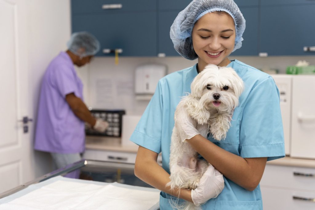 MSD Salud Animal en México lanza BRAVECTO 365, desparasitante canino que brinda un año de protección contra pulgas y garrapatas