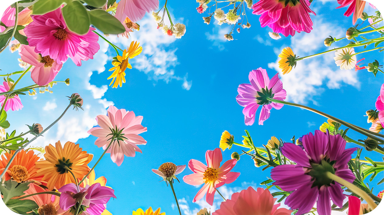 ¡Refuerza tu salud esta primavera!