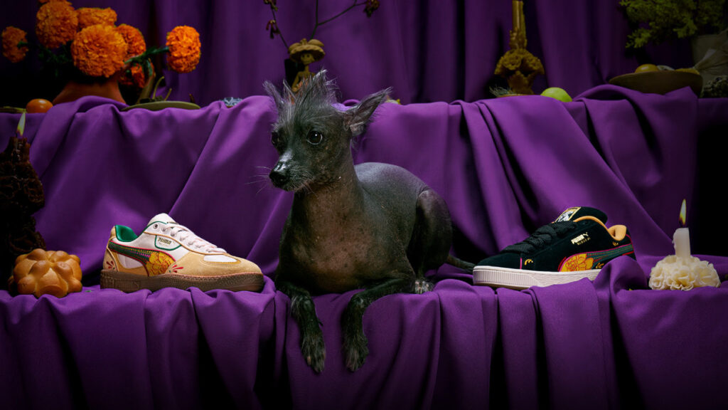 PUMA Día de Muertos: De la ofrenda a la calle