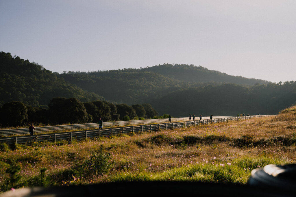 Run the Circuit: una experiencia de adrenalina y velocidad