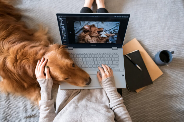 Transforma tu creatividad y productividad con la ASUS Chromebook Plus CX34