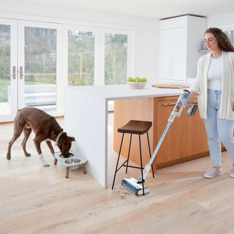¿Por qué tu casa se ensucia más rápido en verano? El reto invisible de los hogares con mascotas